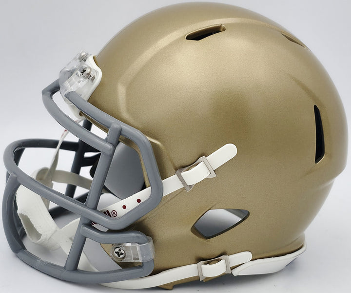 Rudy Ruettiger Auto Notre Dame Fighting Irish Speed Mini Helmet Play Sketch BAS