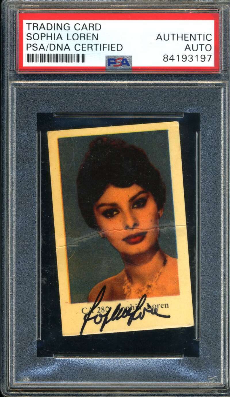 Sophia Loren PSA DNA Coa Signed 1950`s Dutch Trading Card Autograph