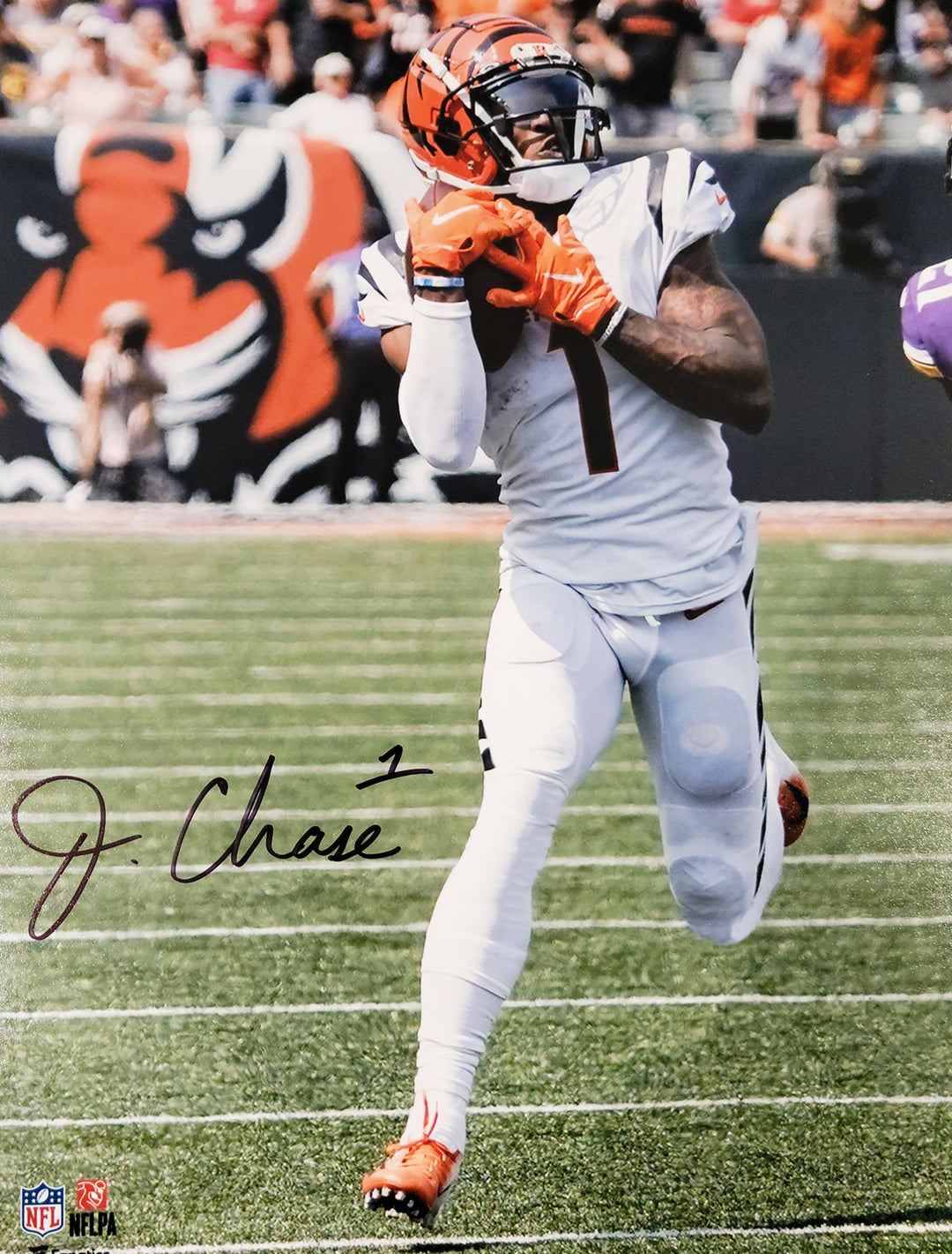 Ja'Marr Chase Autographed Signed 16x20 Photo Cincinnati Bengals Beckett