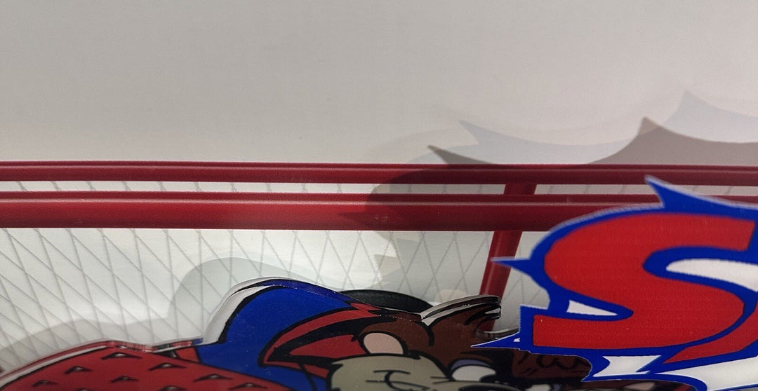 Taz Tasmanian Devil Looney Tunes NY Rangers Framed 3D Pucks & Stick Photo Art