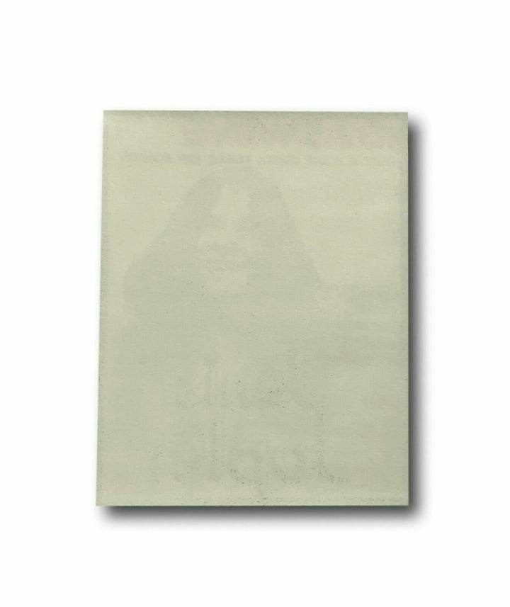 Janis Joplin 102.5 WDVE Rock HOF Authentic Backstage Photo Concert Pass COA