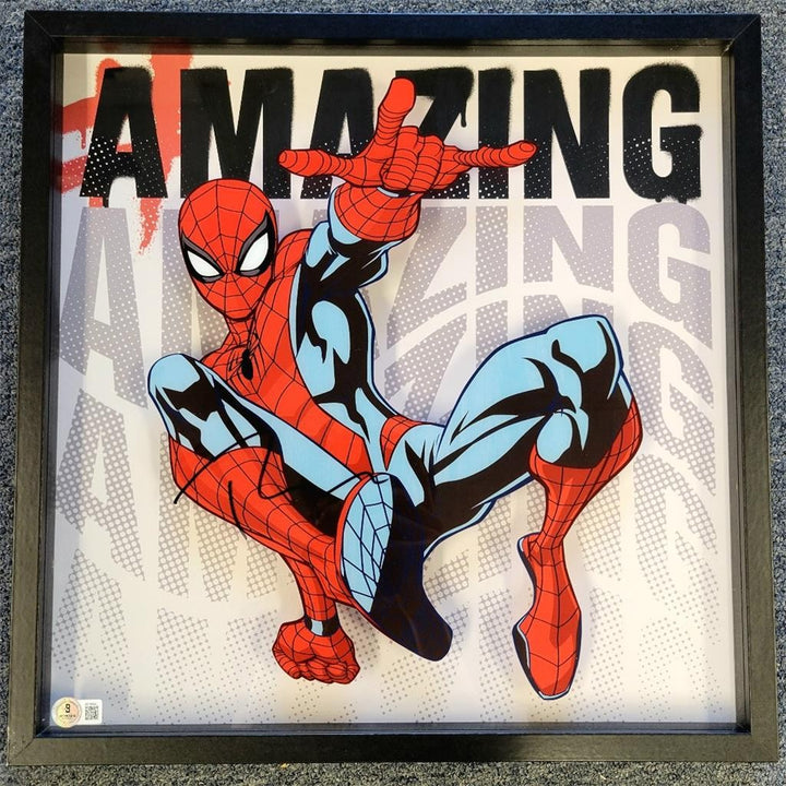 Tobey Maguire signed Spider-Man 16x16 Wall Art Display autograph ~ Beckett BAS
