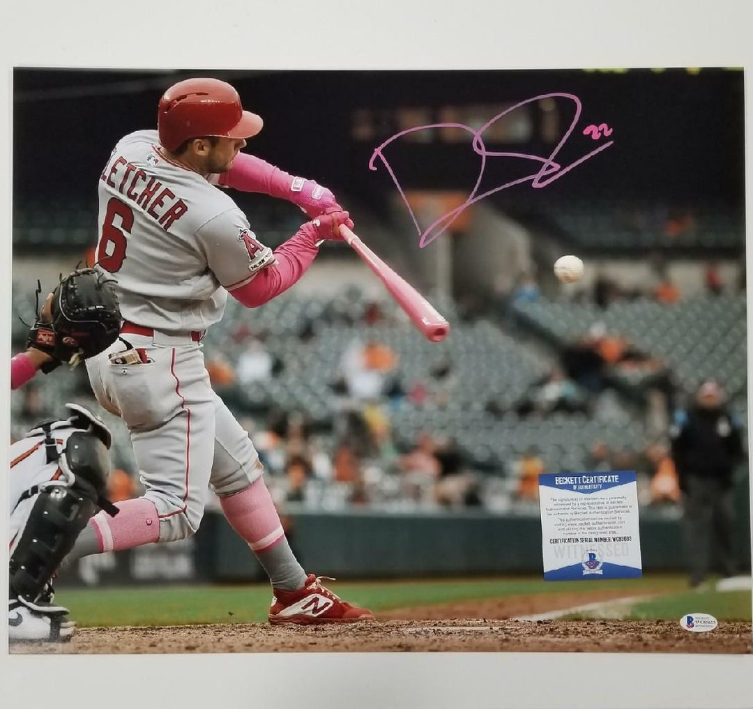 David Fletcher autograph Mother's Day signed 16x20 Photo BAS Beckett Witness COA