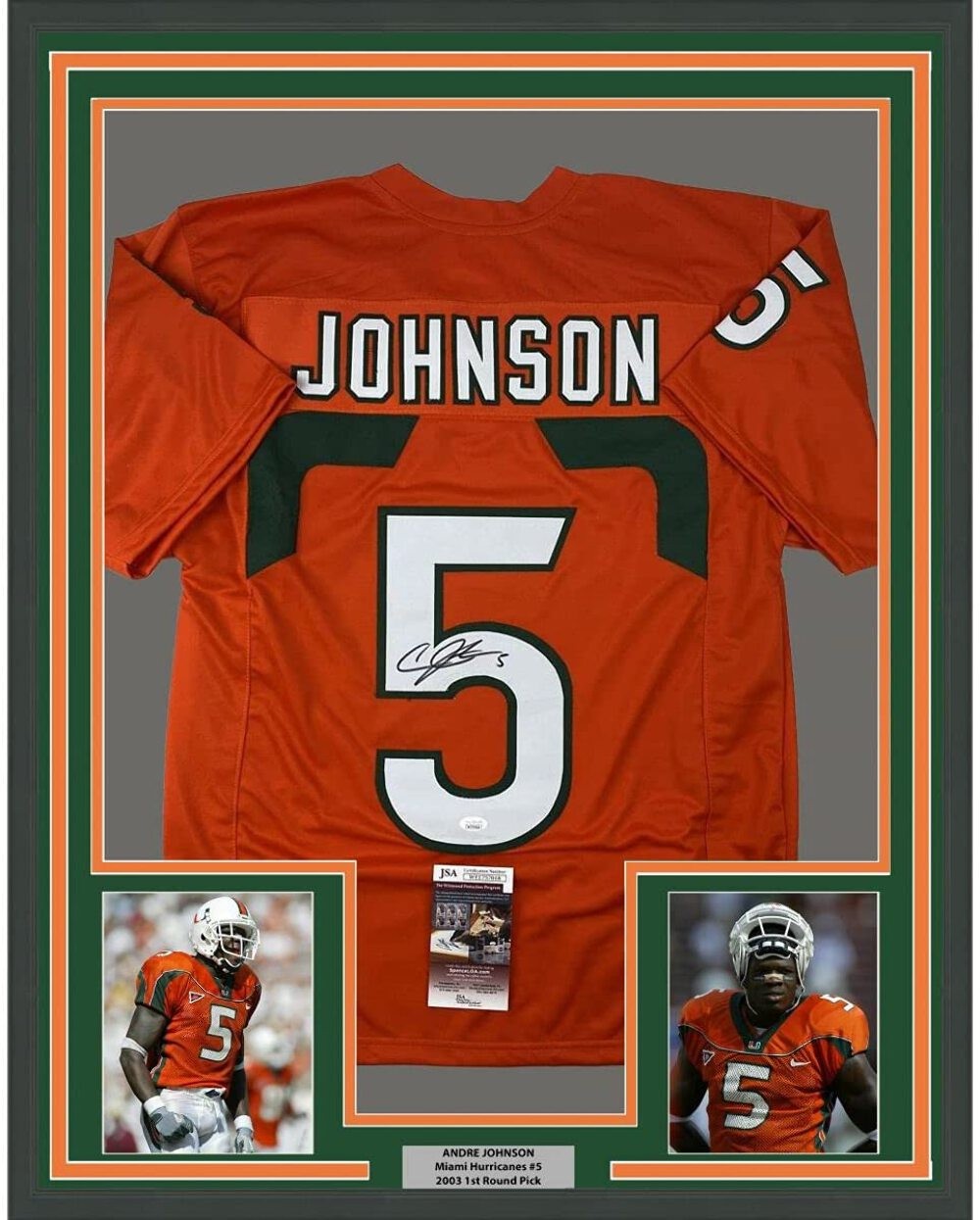 FRAMED Autographed/Signed ANDRE JOHNSON 33x42 Orange Football Jersey JSA COA