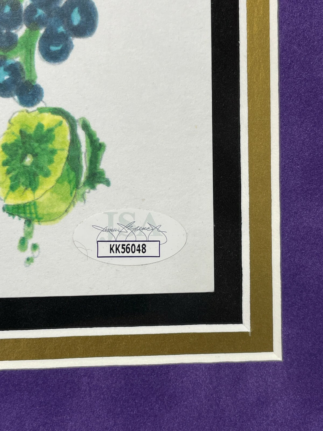 Willy Wonka Kids x5 Signed Wallpaper Framed Gobstopper Bar Collage JSA COA Auto