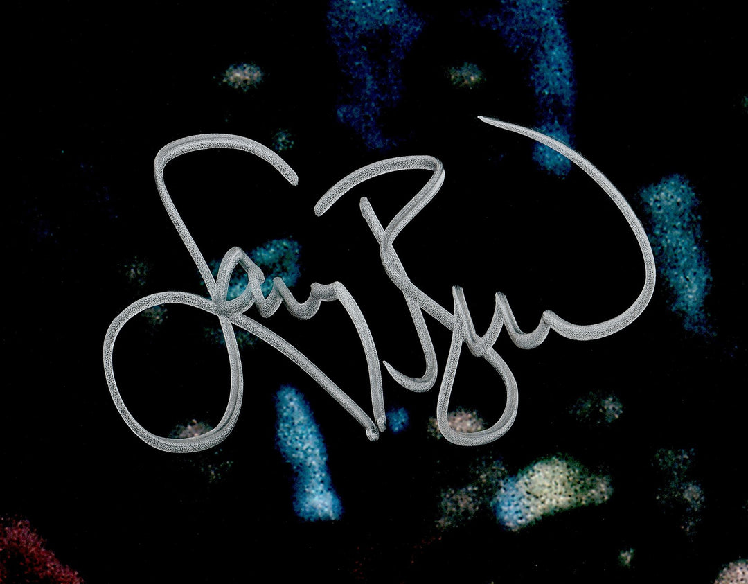Larry Bird Signed 16x20 Photo Boston Celtics Beckett BAS Witness