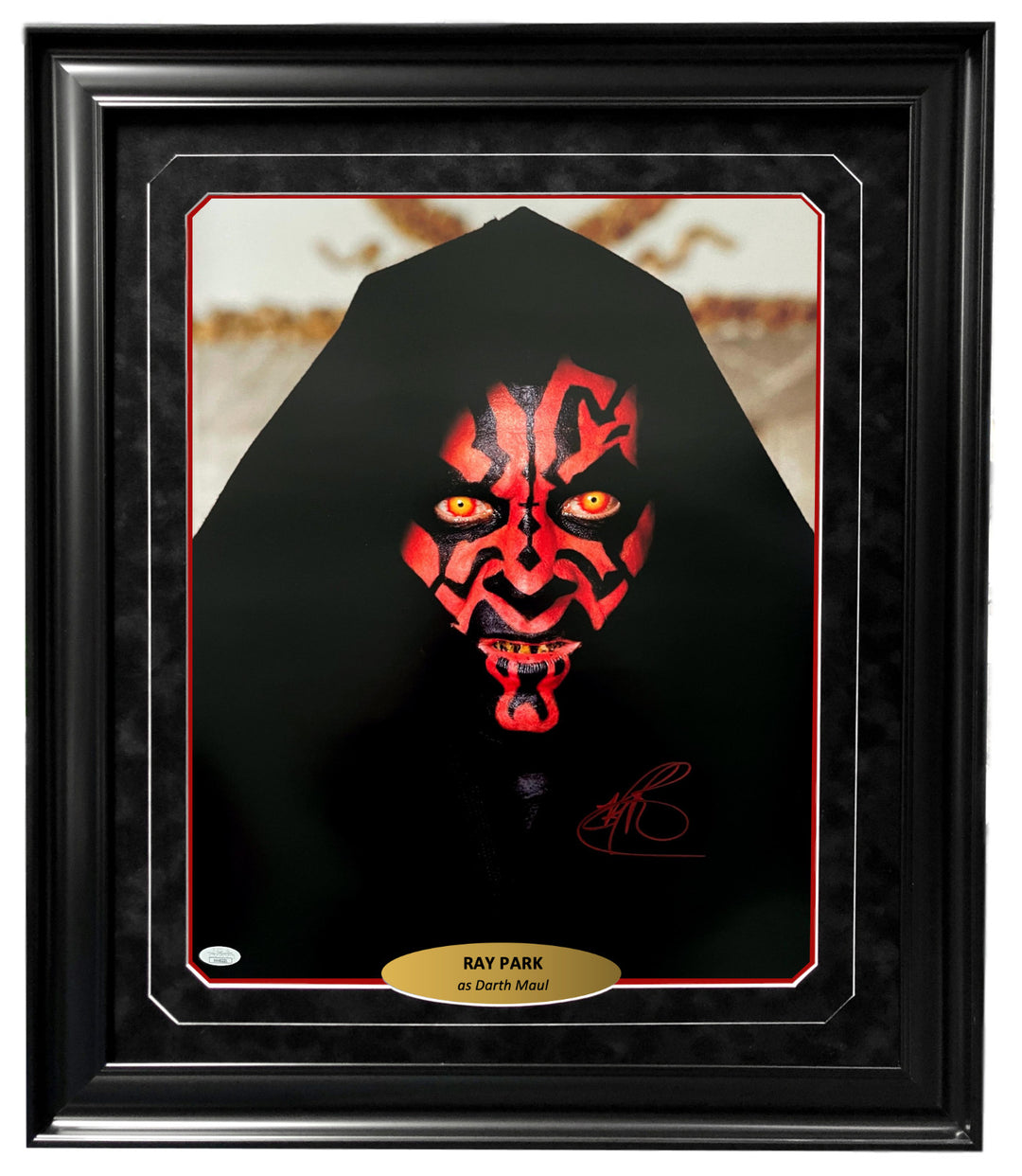 Ray Park Autographed Star Wars Darth Maul 16x20 Photo Framed JSA Signed Face