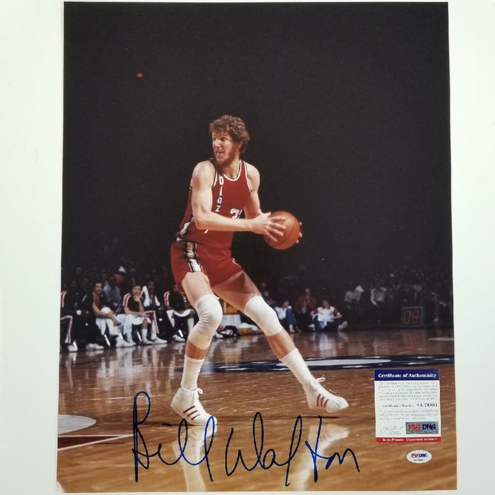 Bill Walton signed 16x20 Photo Autograph Portland Trailblazers ~ PSA/DNA COA