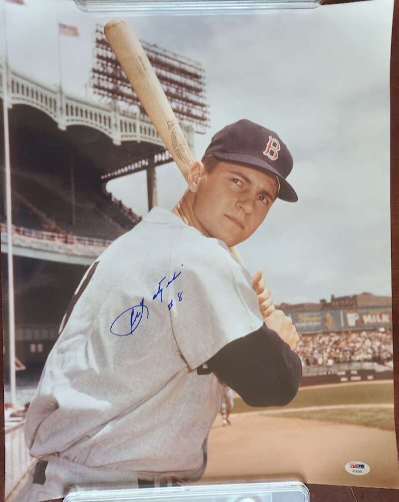 Carl Yastrzemski PSA DNA Signed  16x20 Photo Autograph Red Sox