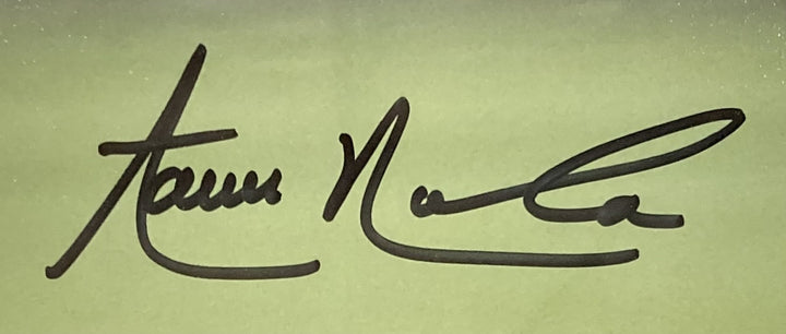 Aaron Nola Signed Framed 16x20 Philadelphia Phillies Photo Fanatics