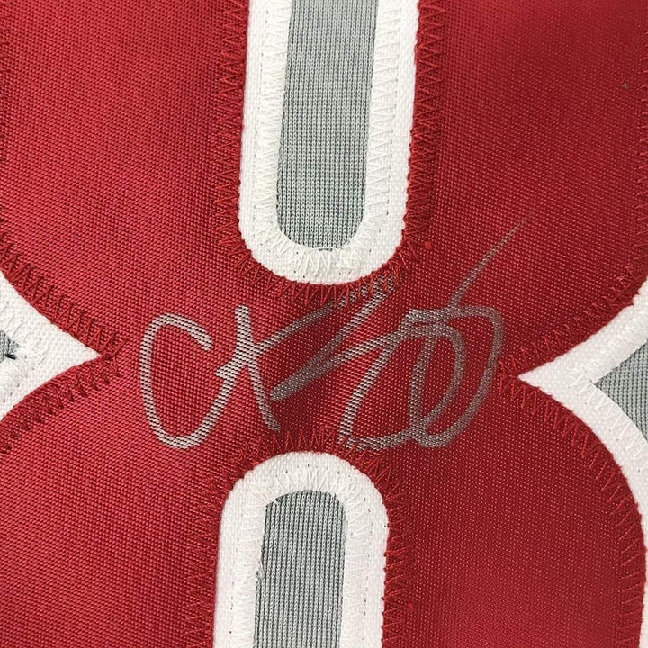Framed Signed Curt Schilling 35x39 Philadelphia Grey Jersey JSA COA