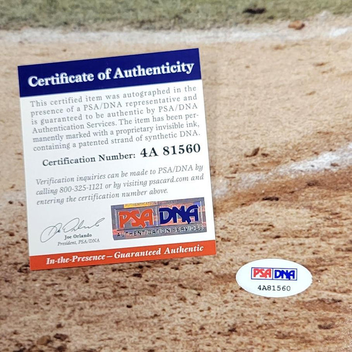 Scott Spiezio signed 16x20 photo Angels Cardinals autograph ~ PSA