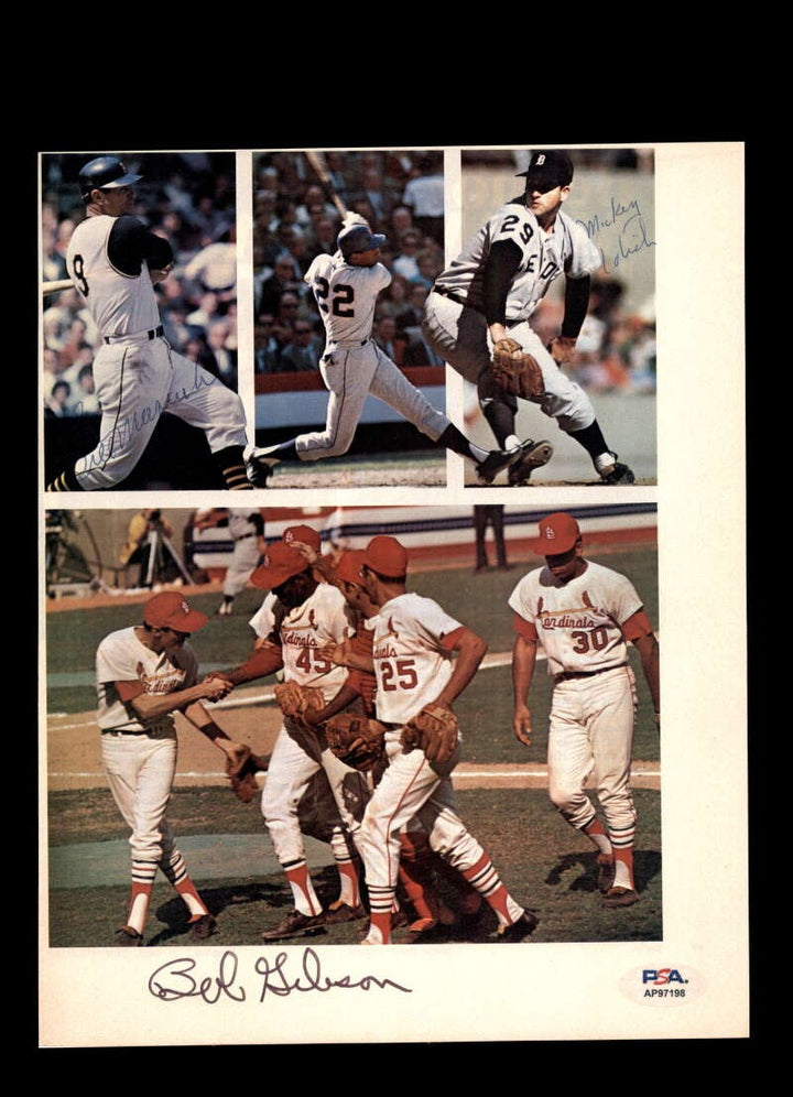 Bill Mazeroski  Bob Gibson Lolich PSA DNA Signed 8x10 Photo Autograph