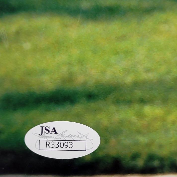 Annette Bening signed American Beauty 11x14 photo poster autograph ~ JSA sticker