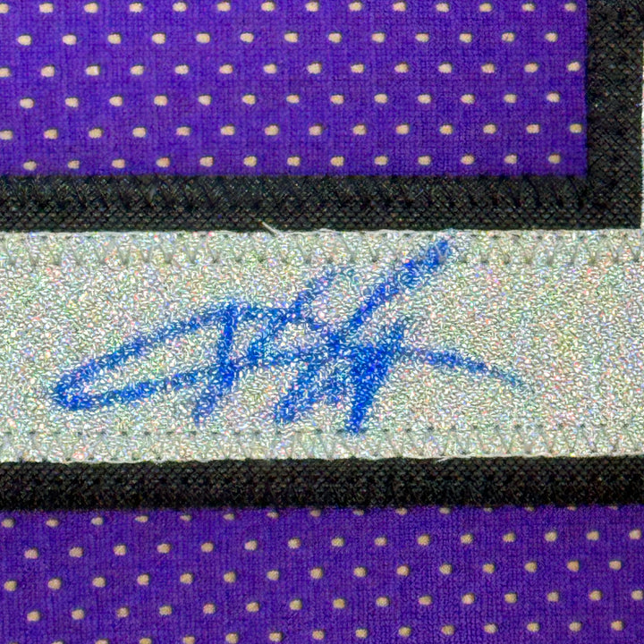 Framed Autographed/Signed Vince Carter 33x42 Toronto Purple Jersey PSA/DNA COA