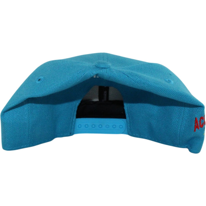 Sean Young "Ray Finkle" Autographed Collectible Ace Ventura Hat BAS black 55784