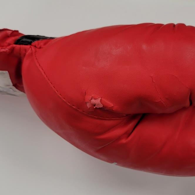 Jessie Vargas signed "WBO WBA Champ" Cleto Boxing Glove autograph ~ Beckett BAS