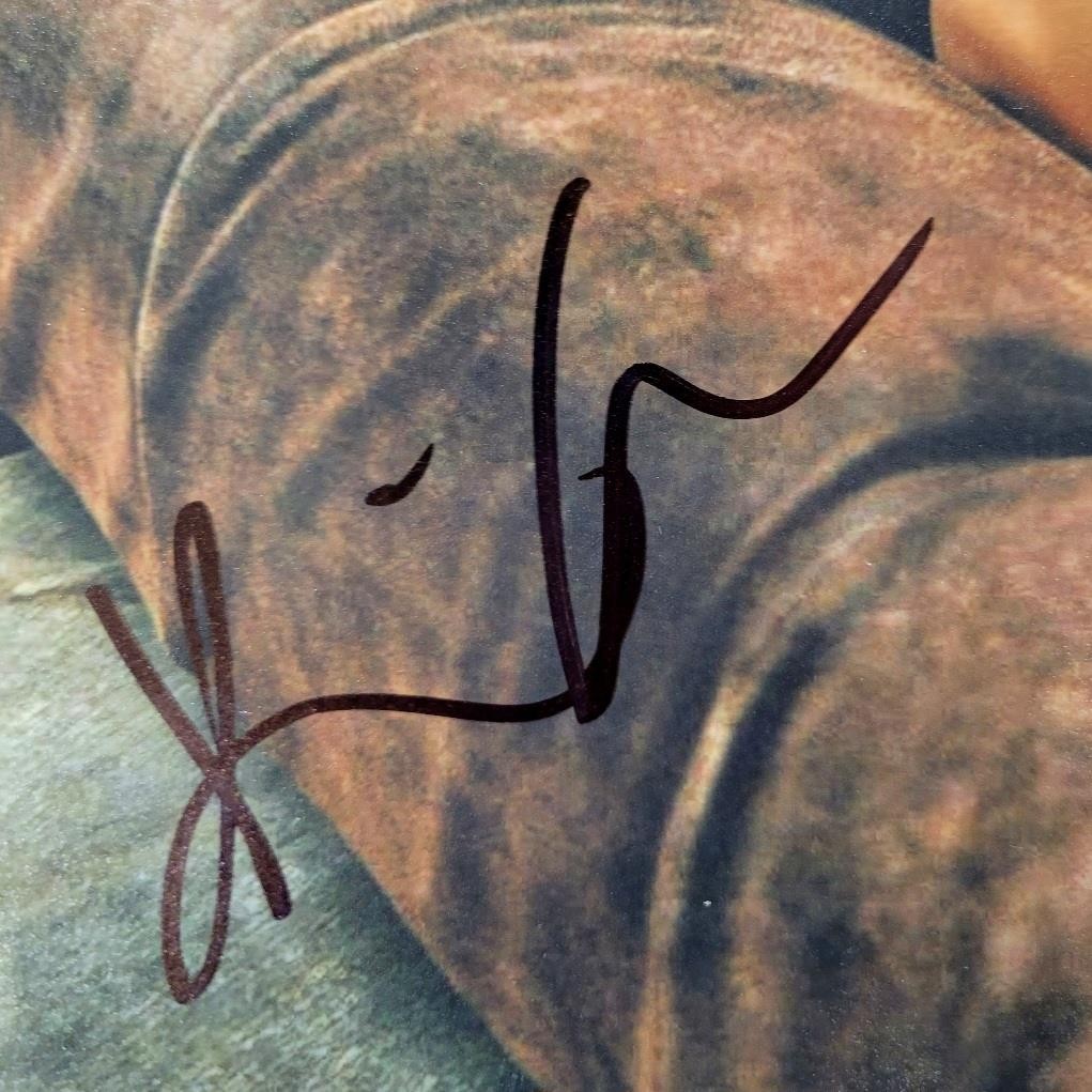 Kaia Gerber signed 11x14 photo actress model autograph ~ Beckett BAS