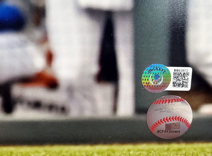 Vladimir Guerrero Jr. Autographed Signed 16x20 Photo Toronto Blue Jays Beckett