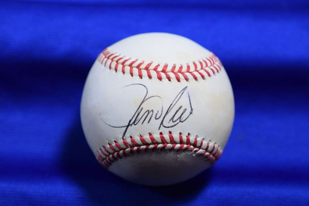 Jim Rice PSA DNA Autographed American League OAL Signed Baseball Red Sox