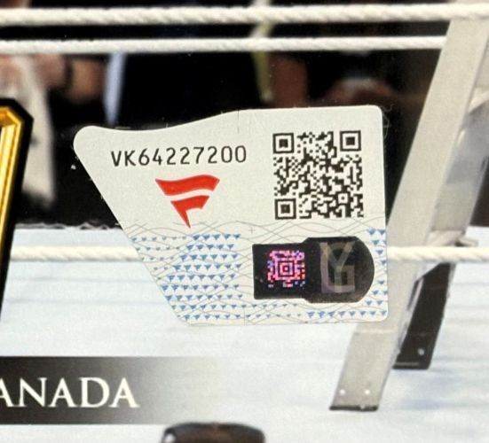 Tiffany Stratton Signed Framed 8x10 WWE Money In The Bank Photo Fanatics
