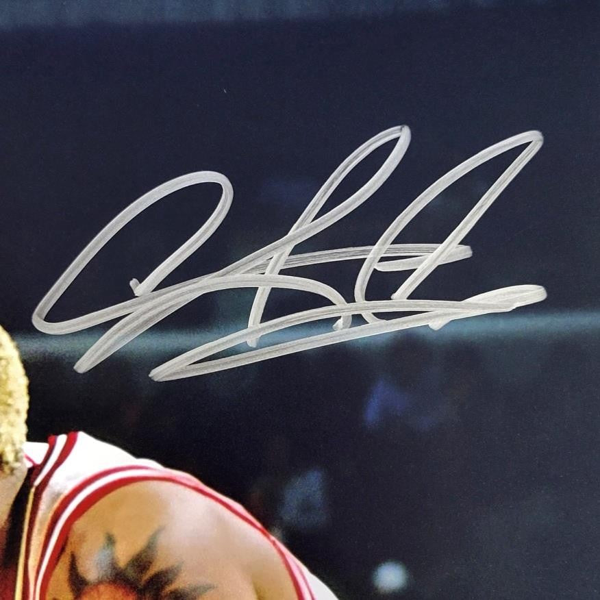 Dennis Rodman signed 16x20 photo autograph Pippen Jordan ~ Beckett BAS Witness