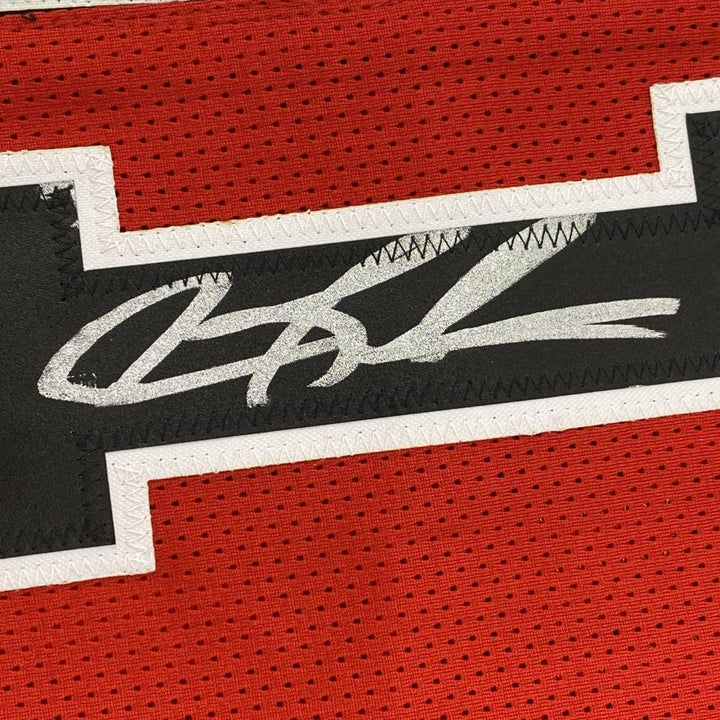 Framed Signed Dennis Rodman 35x39 Chicago Split Red/Black Jersey BAS COA