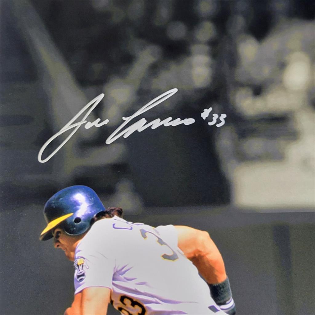 Jose Canseco Ozzie Canseco signed Oakland A's 16x20 photo autograph Beckett BAS