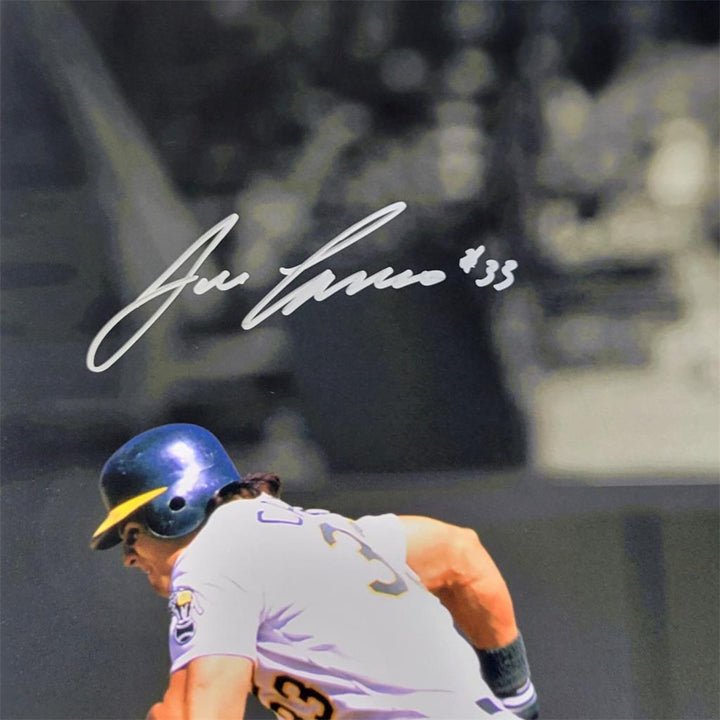 Jose Canseco Ozzie Canseco signed Oakland A's 16x20 photo autograph Beckett BAS
