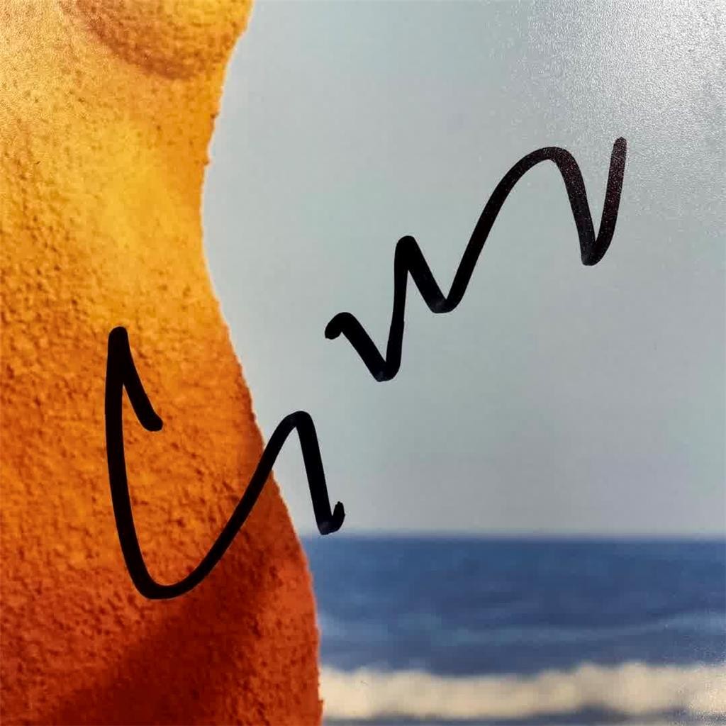 *RARE* Eiza Gonzalez signed Beach Body Paint 11x14 Photo autograph ~ JSA