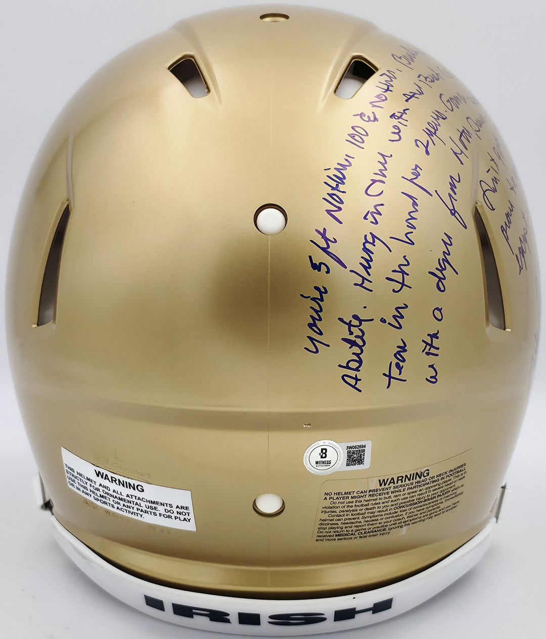 Ry Ruettiger Auto Notre Dame Fighting Irish Gold Full Size Helmet Movie Speech