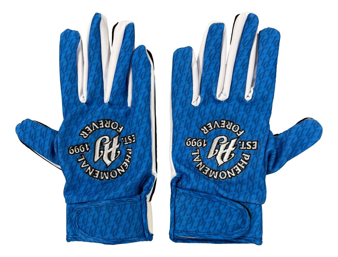 AJ Styles Signed WWE Phenomenal Forever Replica Glove Set Fanatics