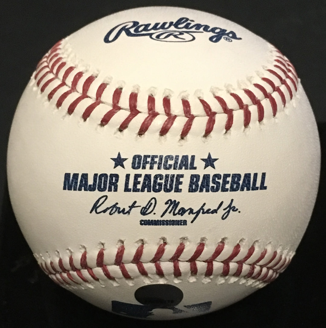 Didi Gregorius Gary Sanchez Yankees signed baseball Most HR auto Steiner 1/17 MT