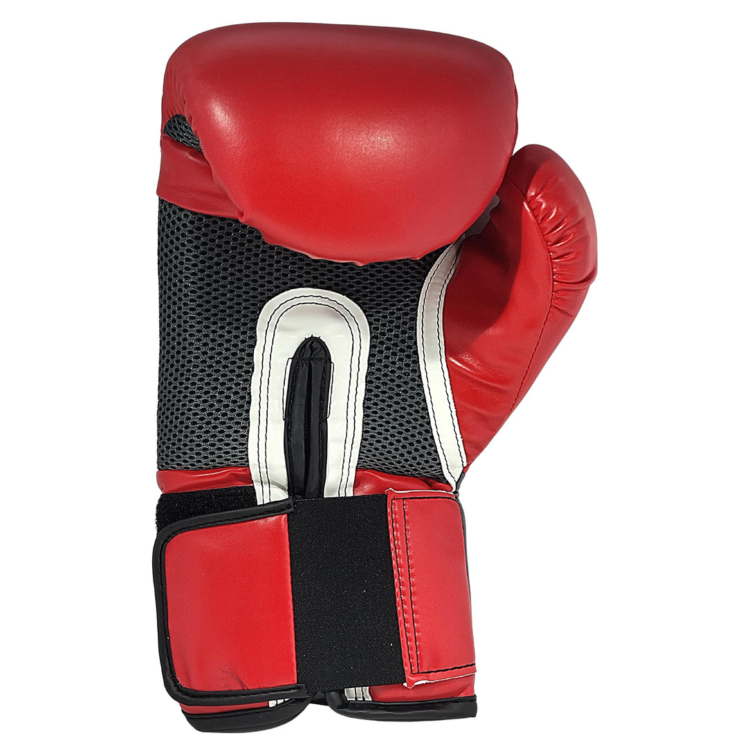 Sefer Seferi Signed Everlast Red Boxing Glove with Champion Inscription Beckett COA