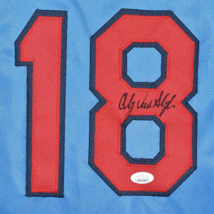 Andy Van Slyke Signed St Louis Light Blue Baseball Jersey (JSA)