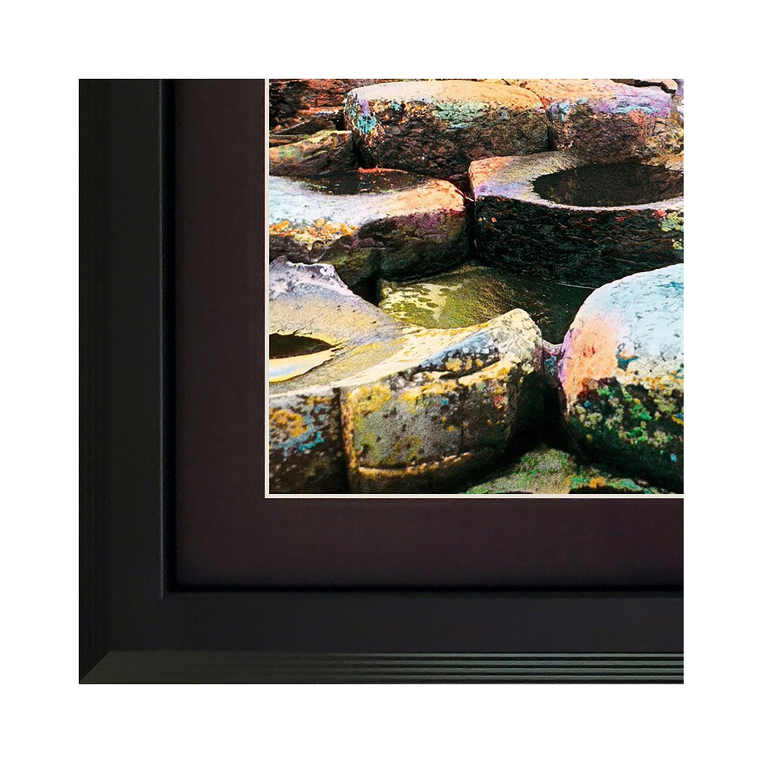 xLed Zeppelin Houses of the Holy Vinyl Record & Cover Professionally Framed 17.5x 26.5� Wall Display with a Black Mat