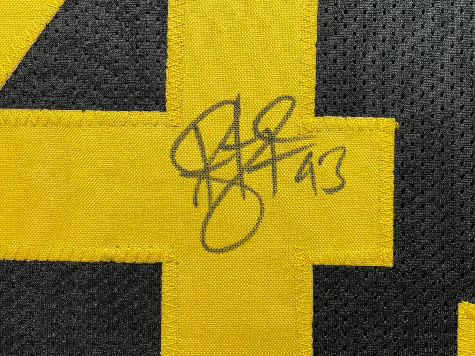 troy polamalu autographed jersey