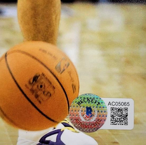 Sasha Vujacic signed Lakers 8x10 photo autograph  BAS Beckett Holo Image 3