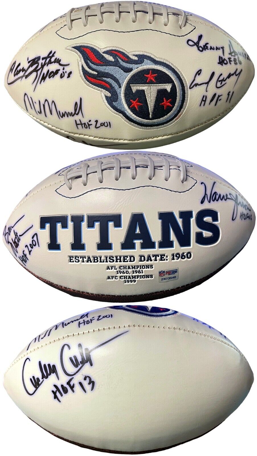 Chris Johnson Autographed Tennessee Titans Inverted Legend Football NF –  Meltzer Sports