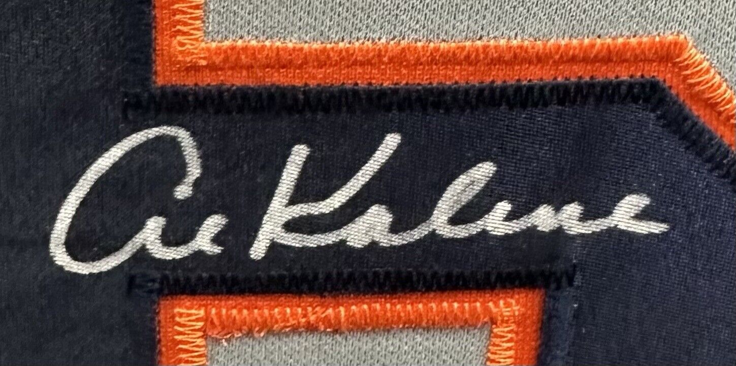 Al Kaline Signed Framed Detroit Tigers Away Stat Jersey Autograph JSA –  CollectibleXchange