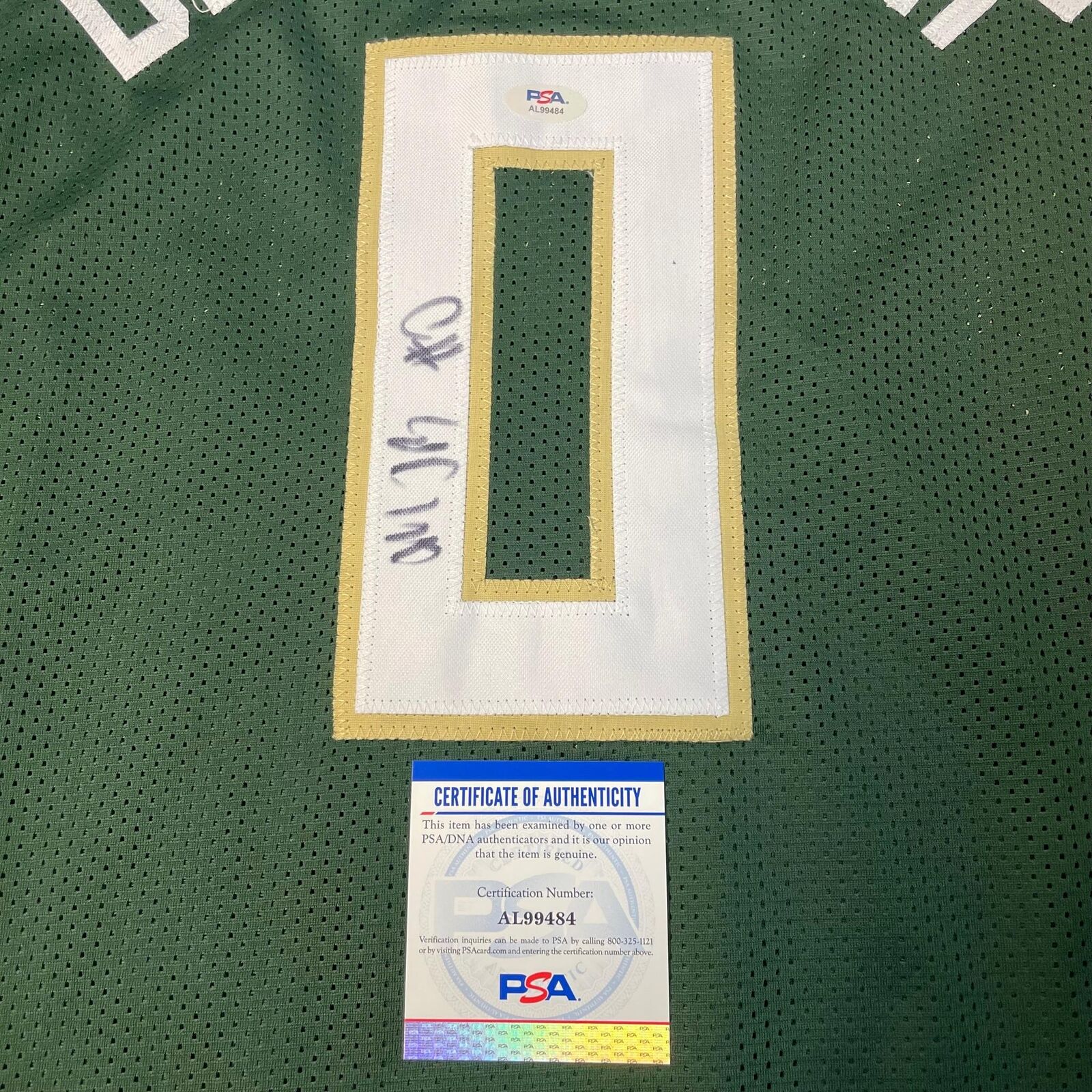 Framed Giannis Antetokounmpo Autographed Milwaukee Bucks Jersey, Wisconsin  Sports Icons, The MCW LaBahn Pancreatic Cancer Program