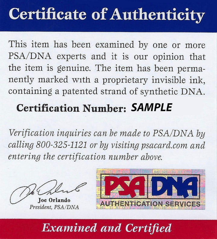 Pau Gasol signed jersey PSA/DNA Memphis Grizzlies Autographed Image 3