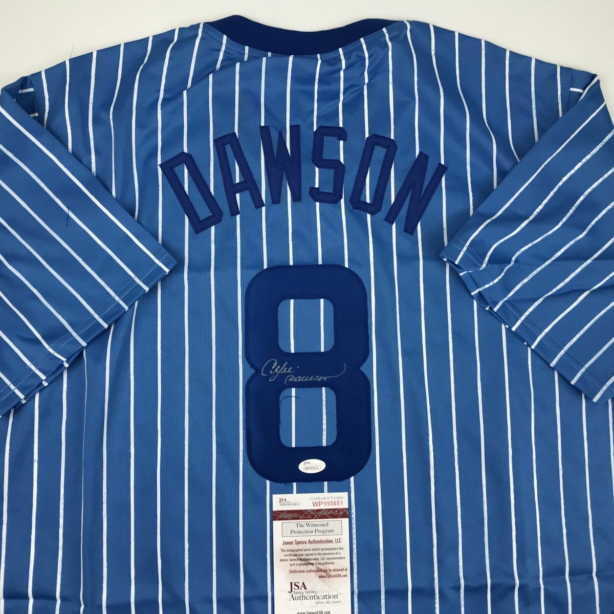 Buy Andre Dawson Signed Autographed Chicago Blue Pinstripe Online in India  