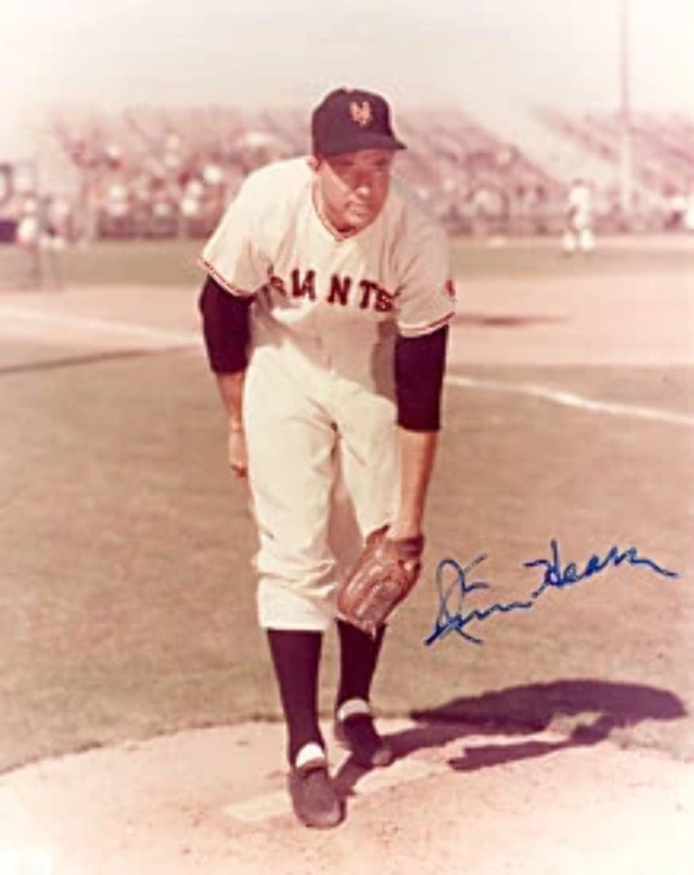 Jim Hearn Autographed / Signed Baseball 8x10 Photo Image 1