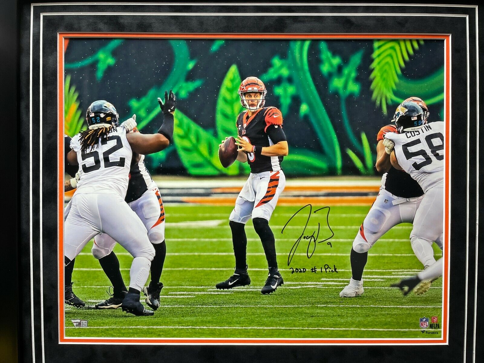 Cincinnati Bengals – CollectibleXchange