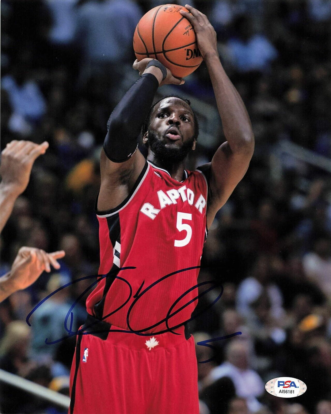 DeMarre Carroll signed 8x10 photo PSA/DNA Toronto Raptors Spurs Autographed Image 1