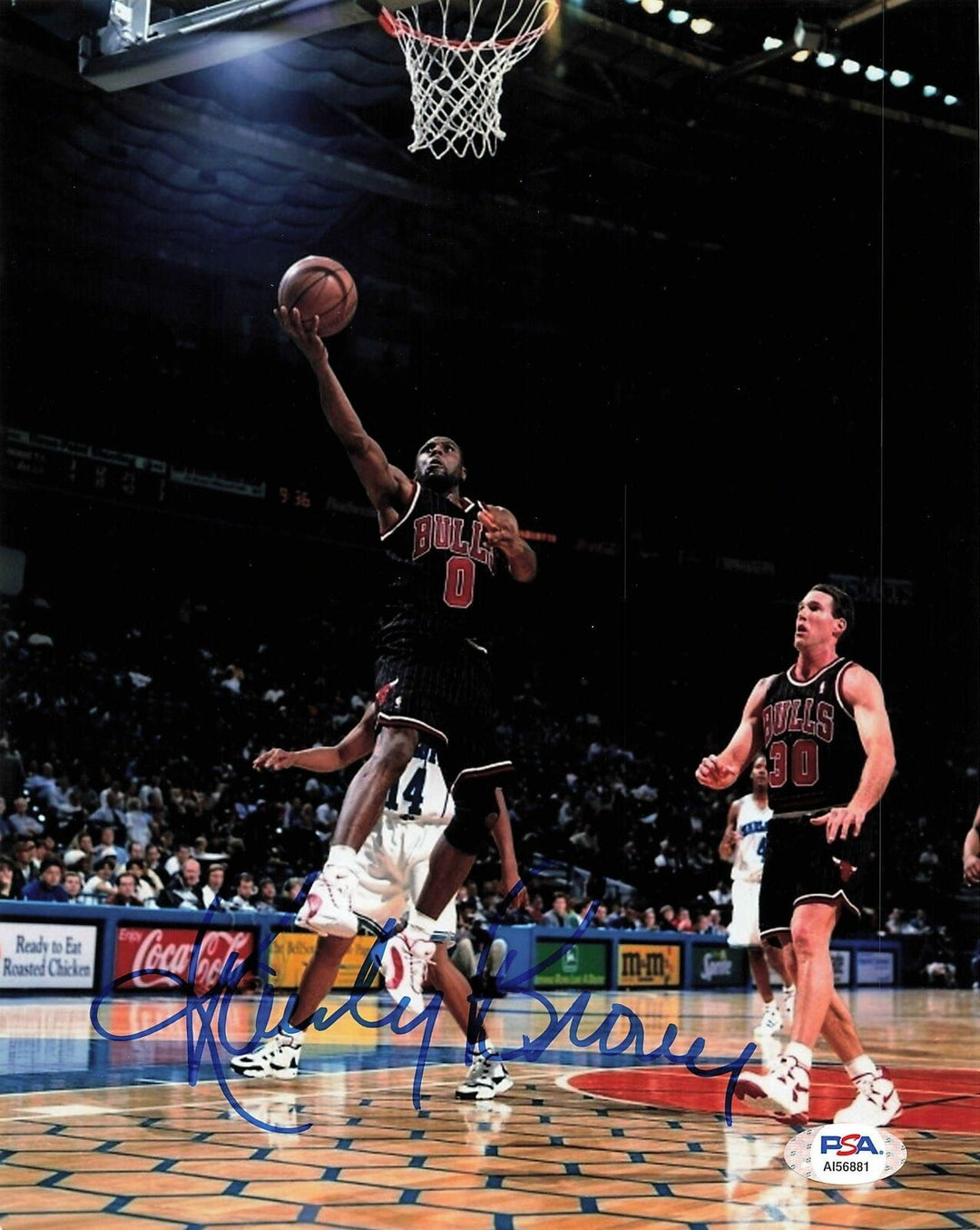 Randy Brown signed 8x10 photo PSA/DNA Chicago Bulls Autographed Image 1