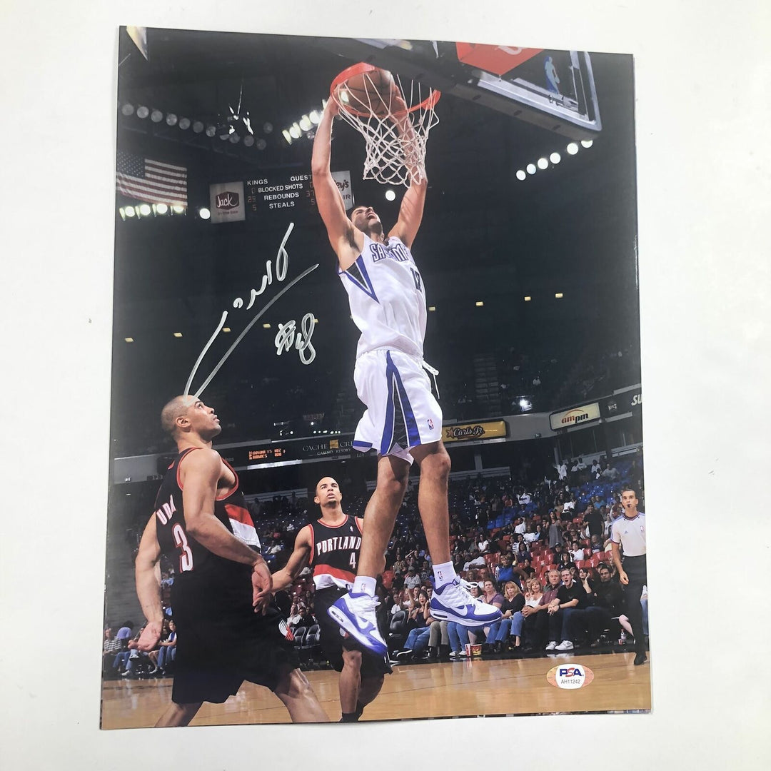 Omri Casspi signed 11x14 photo PSA/DNA Sacramento Kings Autographed Image 1