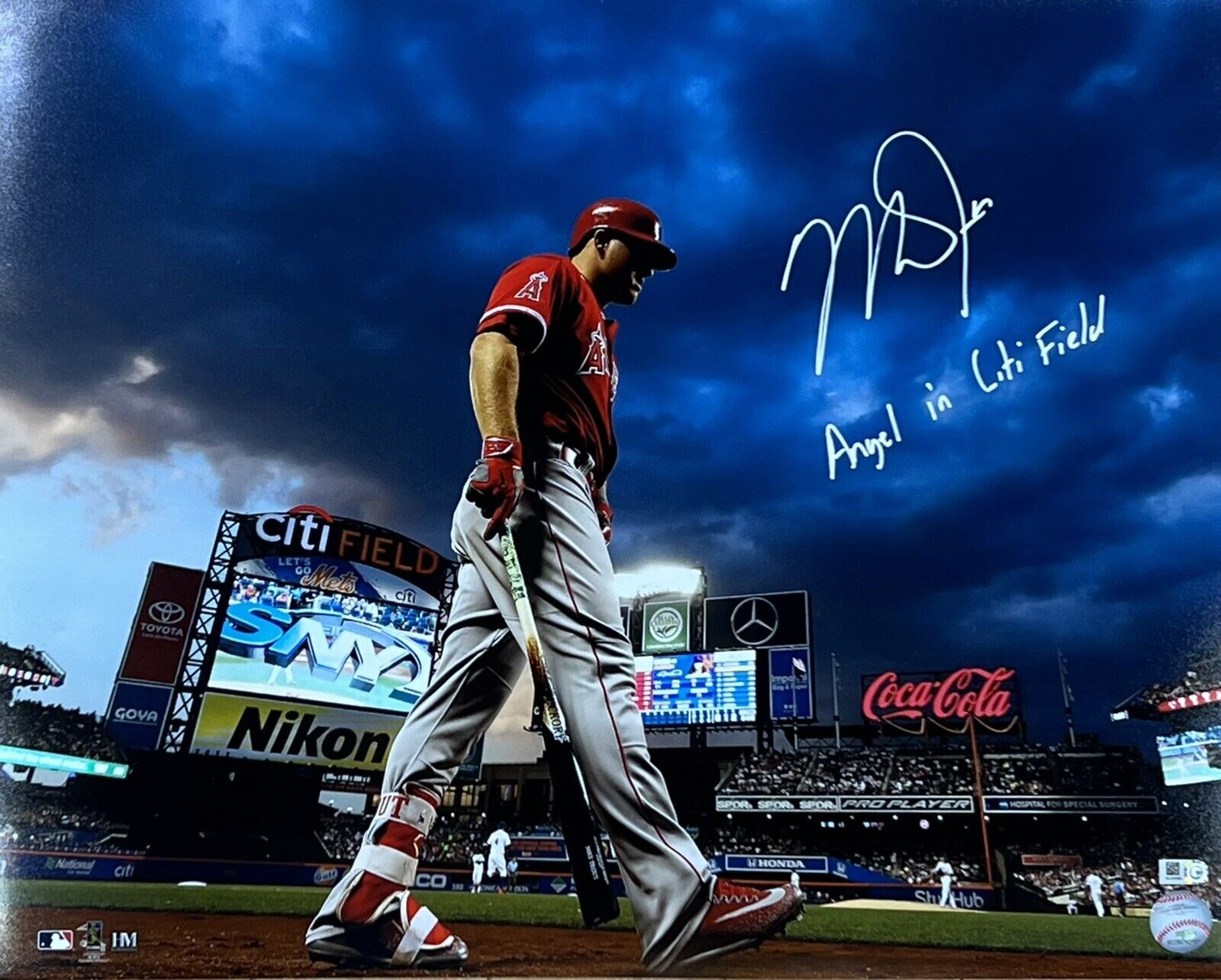 Mike Trout Signed Angels 16x20 photo (MLB)