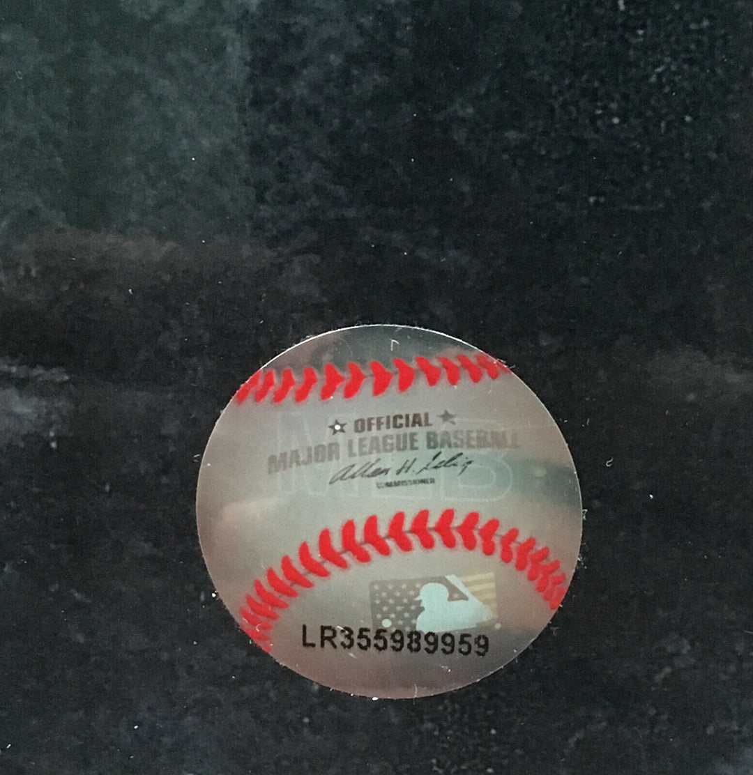 Babe Ruth Licensed 16x20 photo signing baseballs Framed Yankees coin HOF Image 2